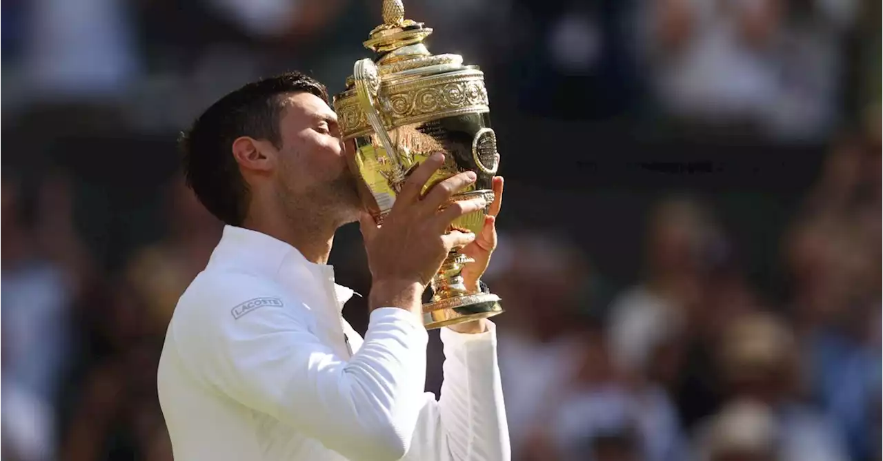 Ice-cool Djokovic tames fiery Kyrgios to continue Wimbledon love story