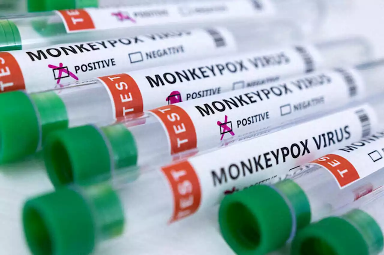 South Africa confirms third monkeypox case in tourist from Switzerland