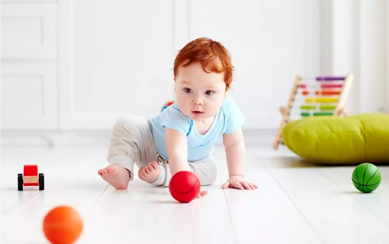 AI Learns What an Infant Knows about the Physical World