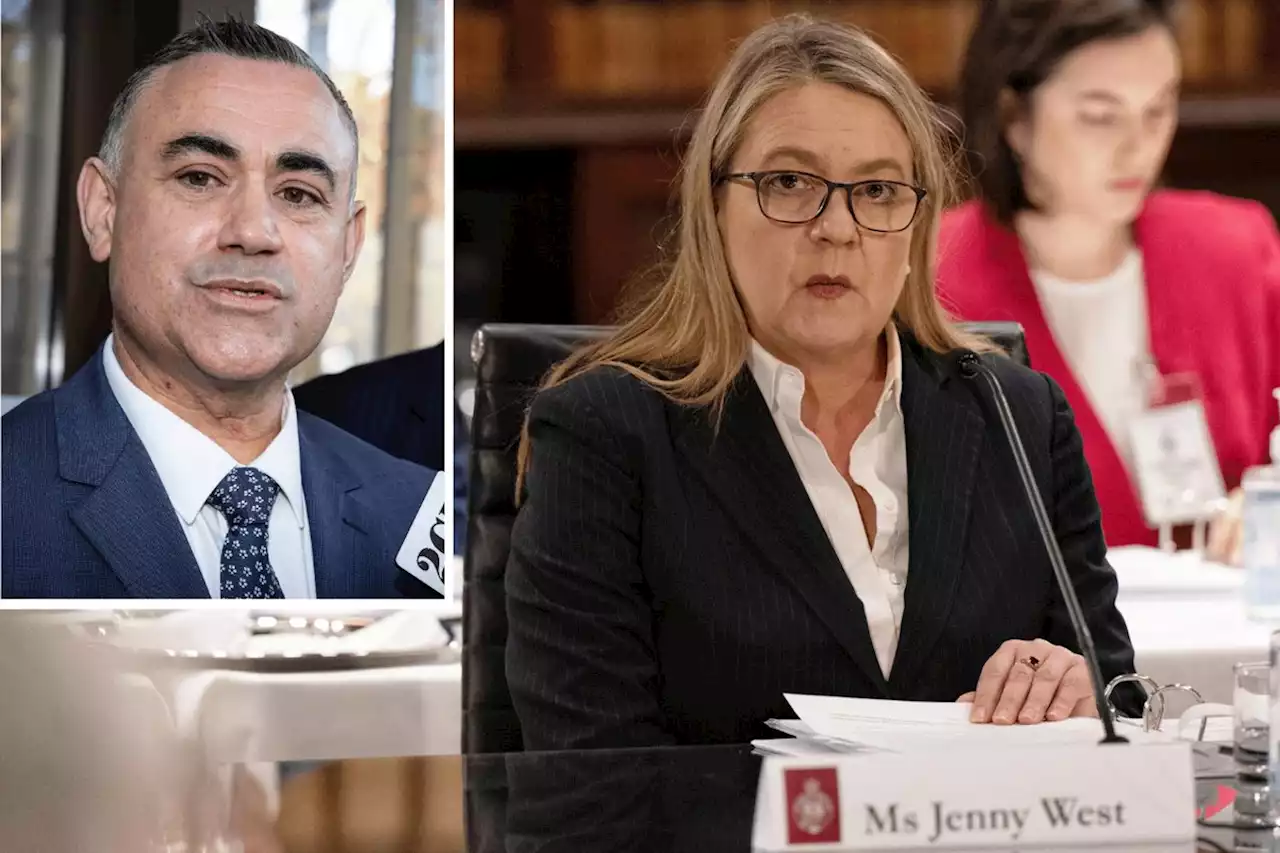 NSW politics LIVE: Inquiry into John Barilaro’s US trade appointment hears from thwarted candidate