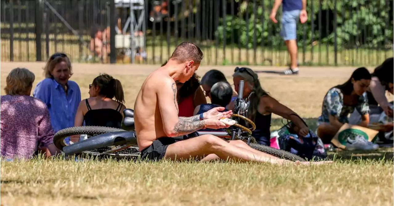 Vague de «chaleur extrême» au Royaume-Uni: une alerte orange émise pour dimanche, «les températures dépasseront probablement 35ºC»