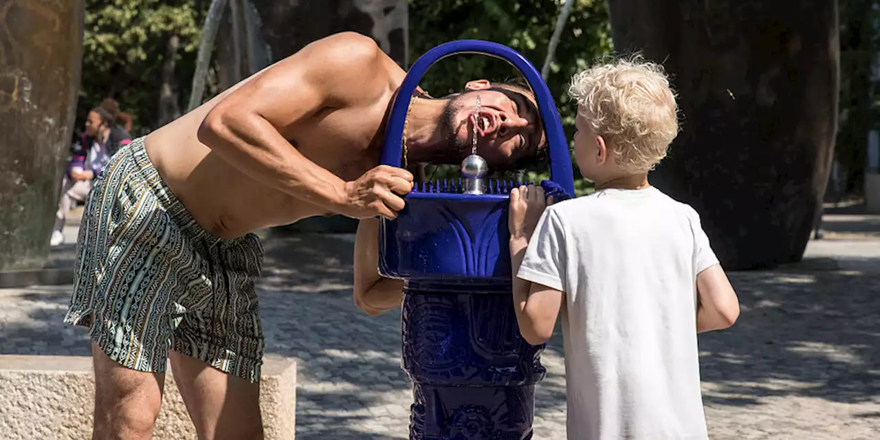 Trinkbrunnen in Berlin: Auch die Biene profitiert