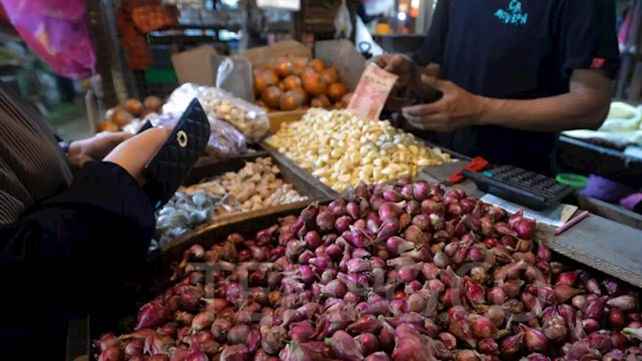 Meski Turun, Harga Bawang Merah Dinilai Masih Tinggi