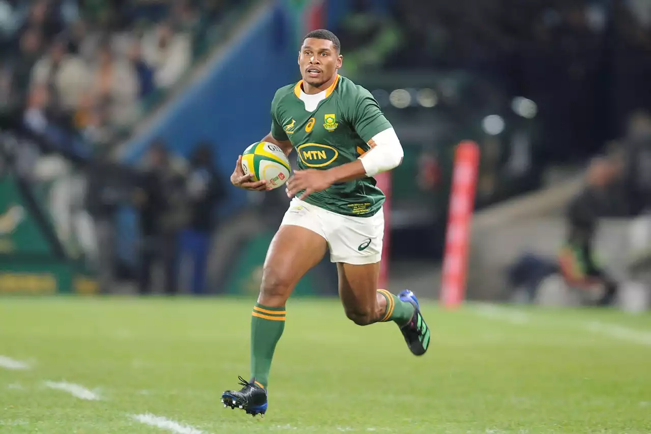 OPINION: Springboks now involved in big South versus North finale | The Citizen