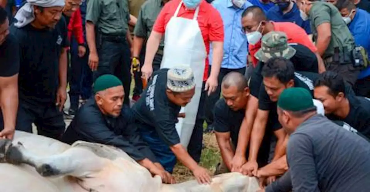 Kelantan Sultan participates in Aidiladha sacrificial ritual