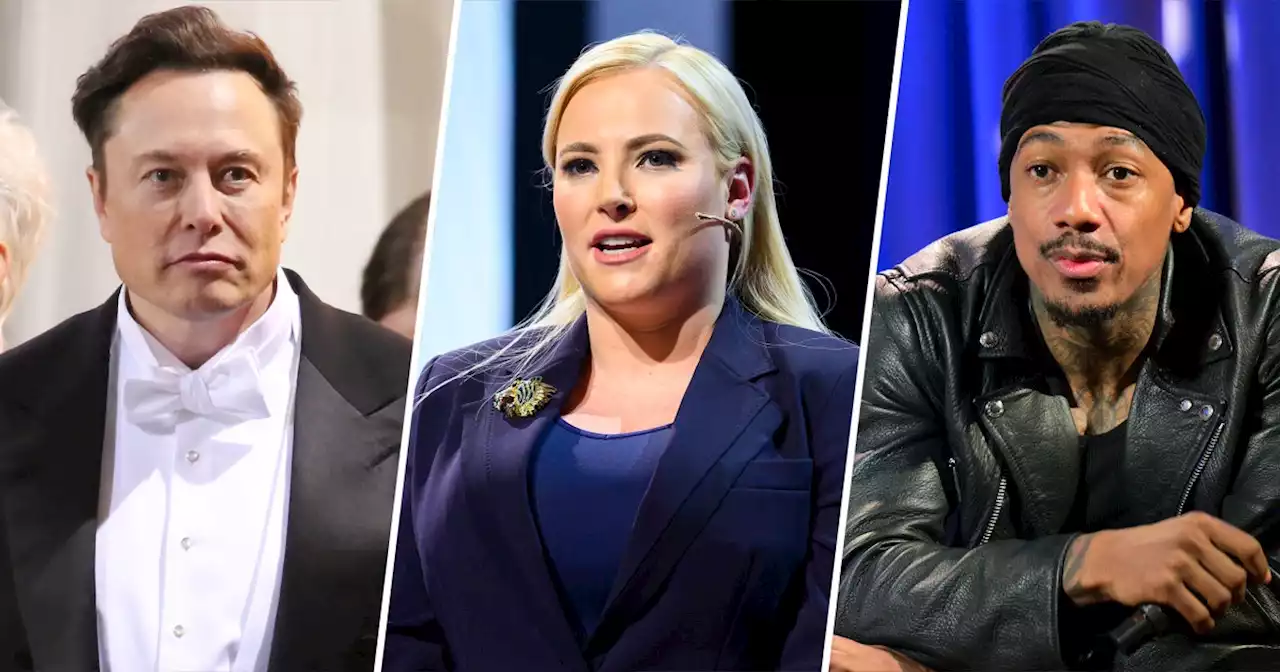 Meghan McCain slams Elon Musk and Nick Cannon for 'impregnate the planet mentality'