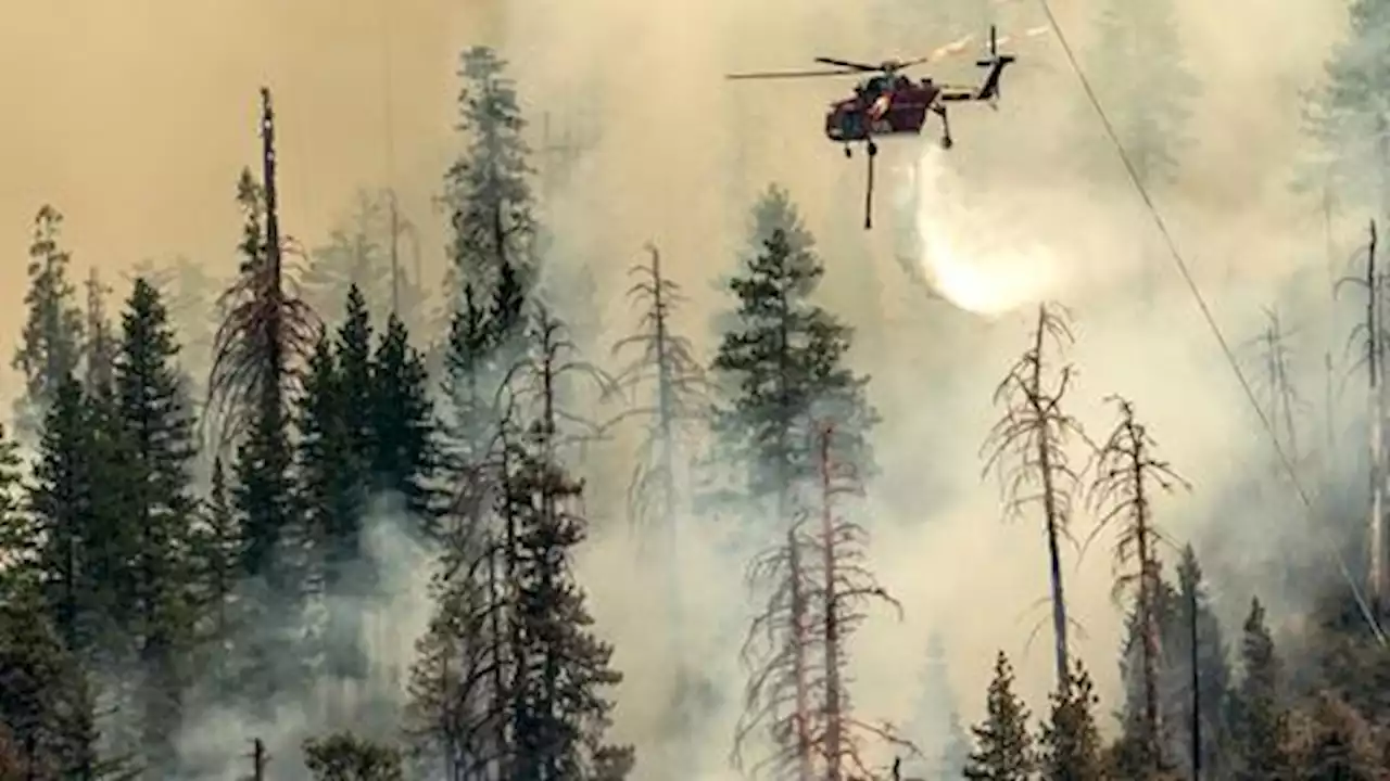 Yosemite wildfire widens as crews protect giant US sequoias