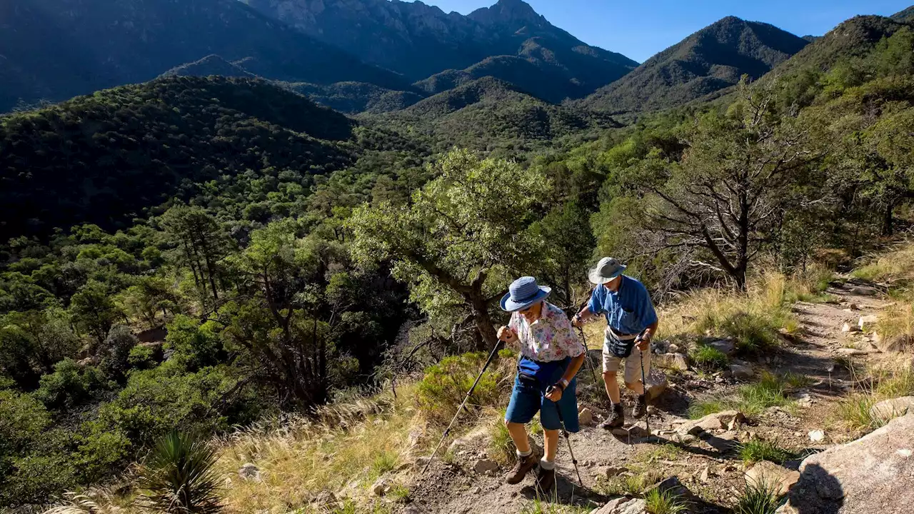 Photos: Madera Canyon south of Tucson is a break from the sun