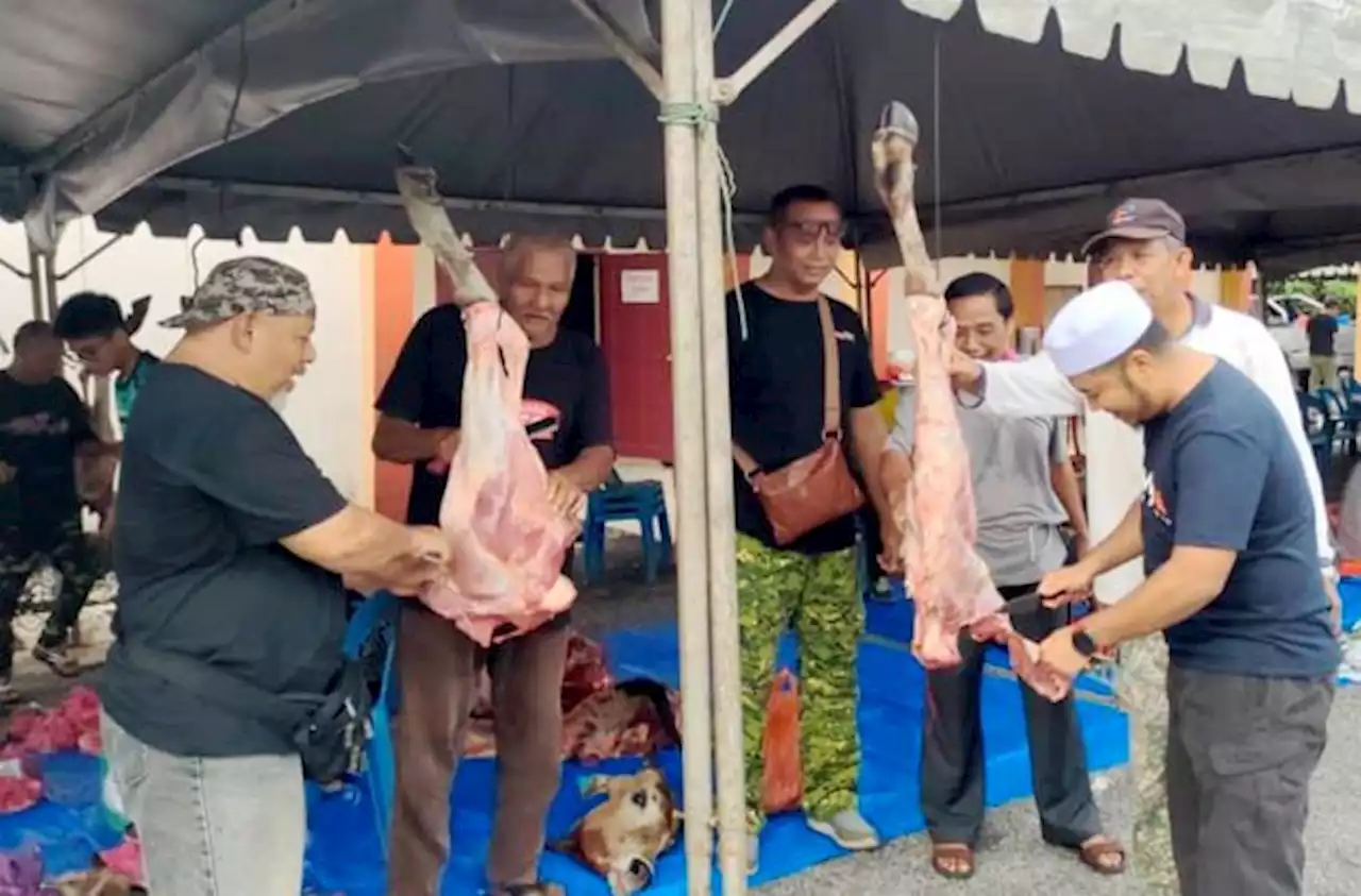 Rezeki Aidiladha: Satu kampung dapat seekor lembu korban