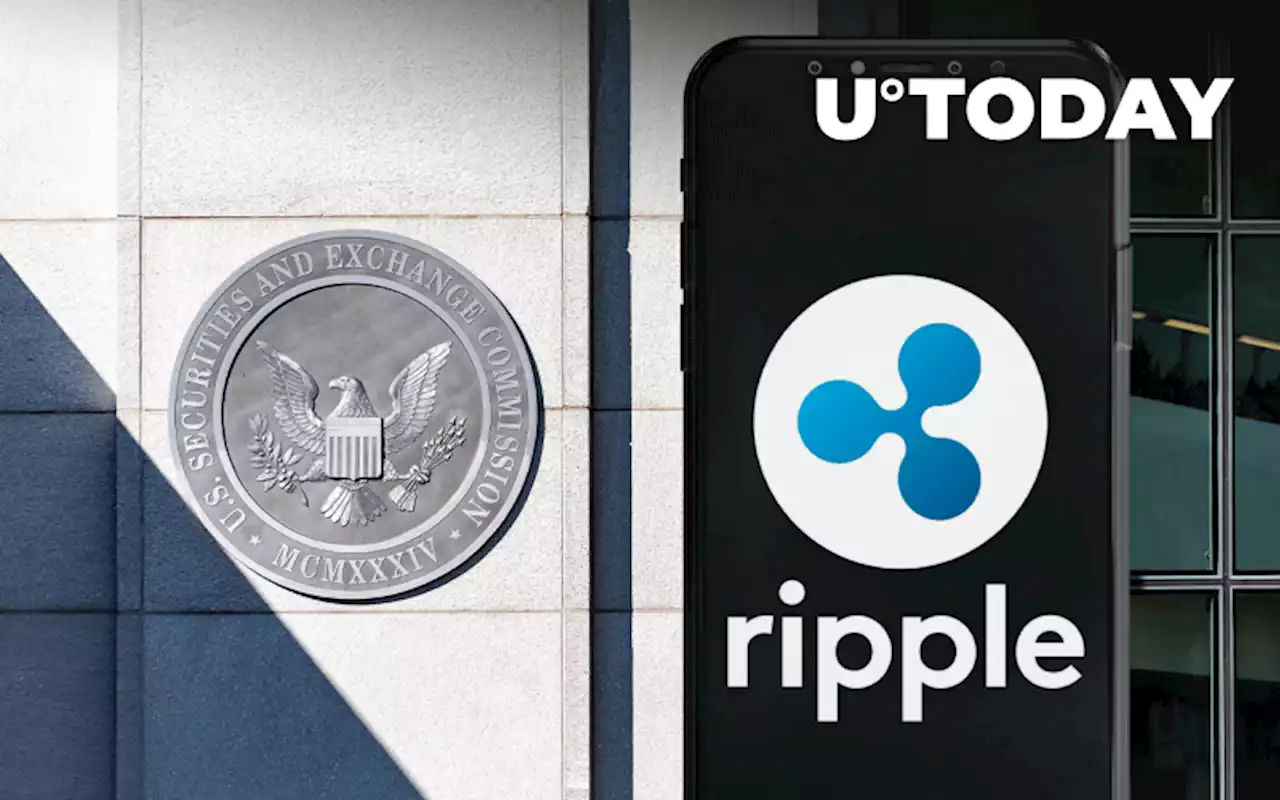 Ripple Accuses SEC of Taking 'Extreme Position' on Expert Reports