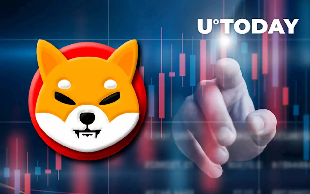 Shiba Inu Average Balance Held by Large Holders Spikes 18% as New Milestones Are Set