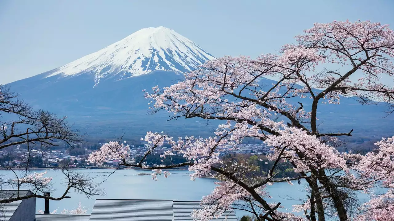 Trips to Take From Tokyo: 8 Destinations You Can Reach in Under 3 Hours