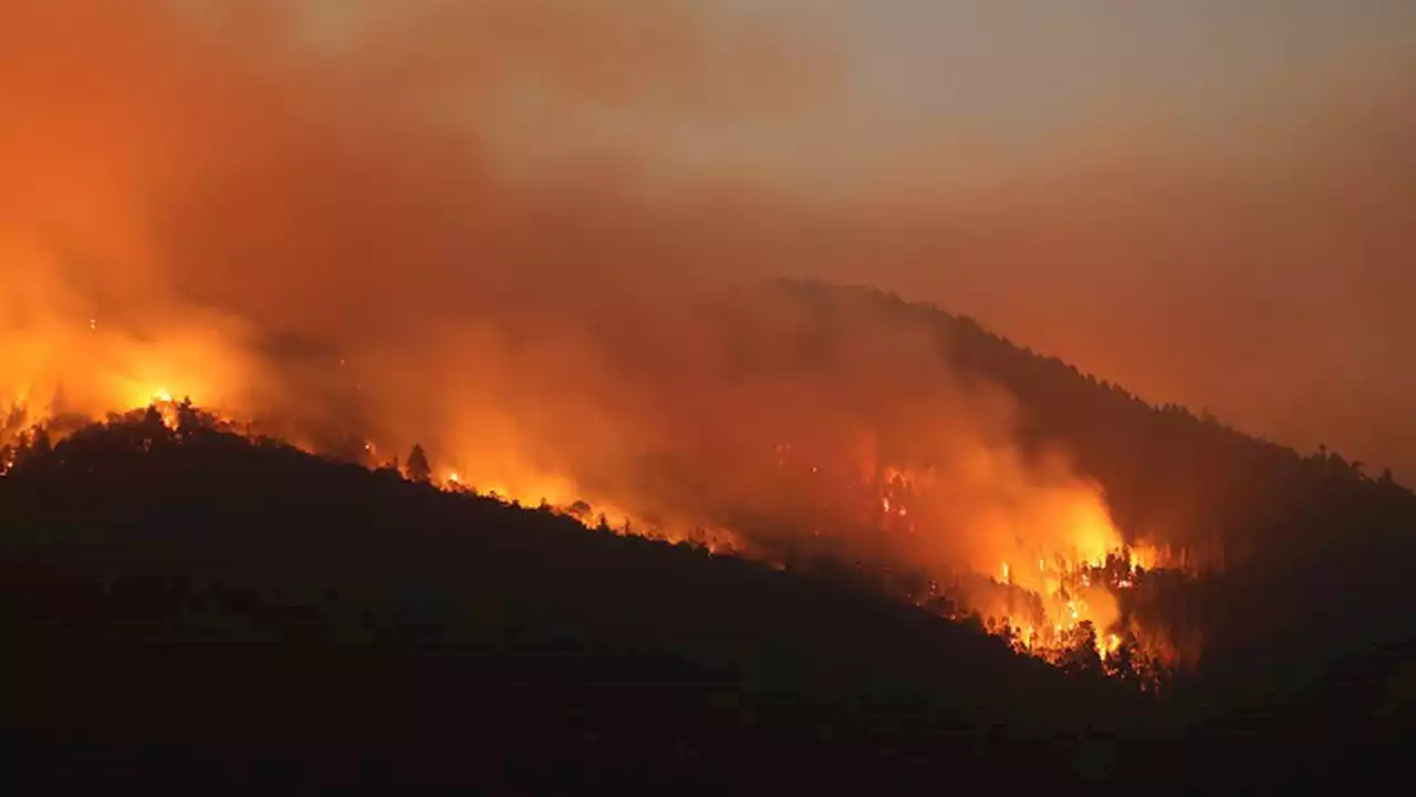 Wildfire near Yosemite National Park inching dangerously close to grove of historic sequoia trees