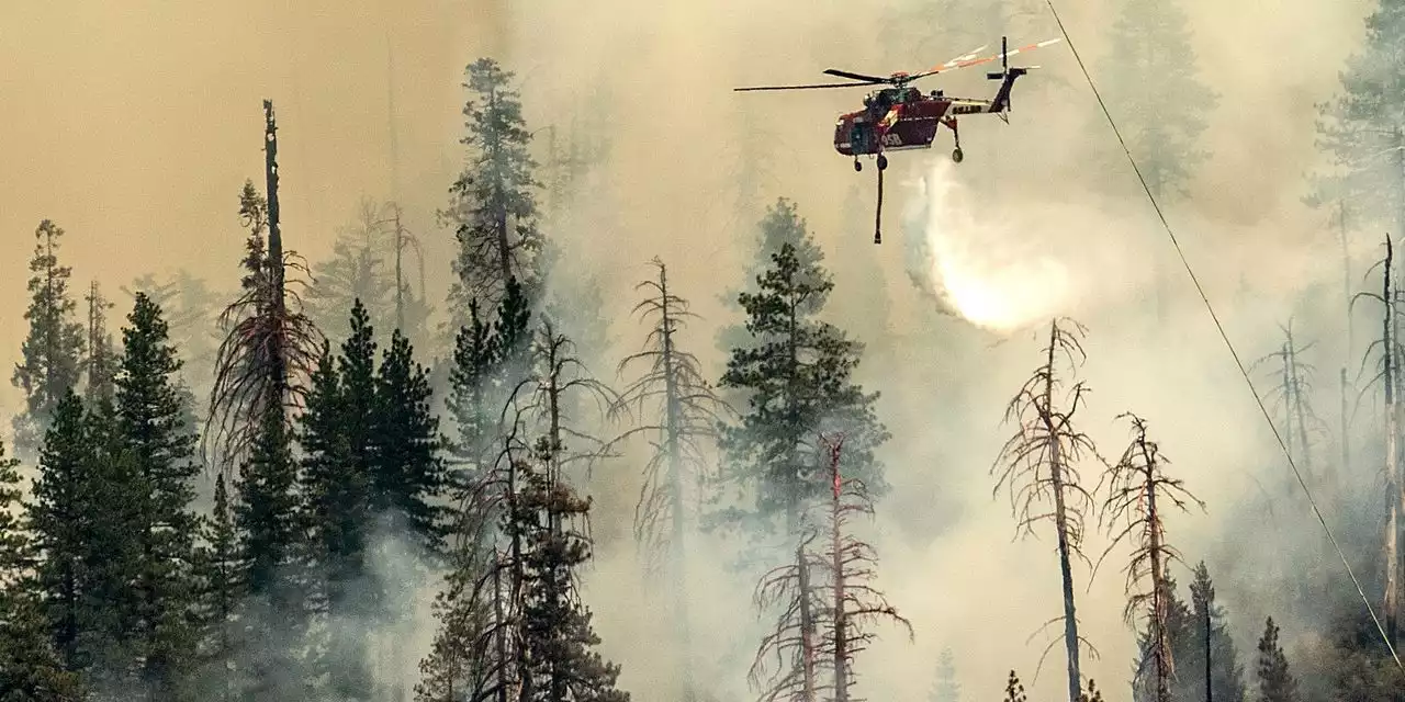 Wildfire at Yosemite National Park Grows to 2,000 Acres