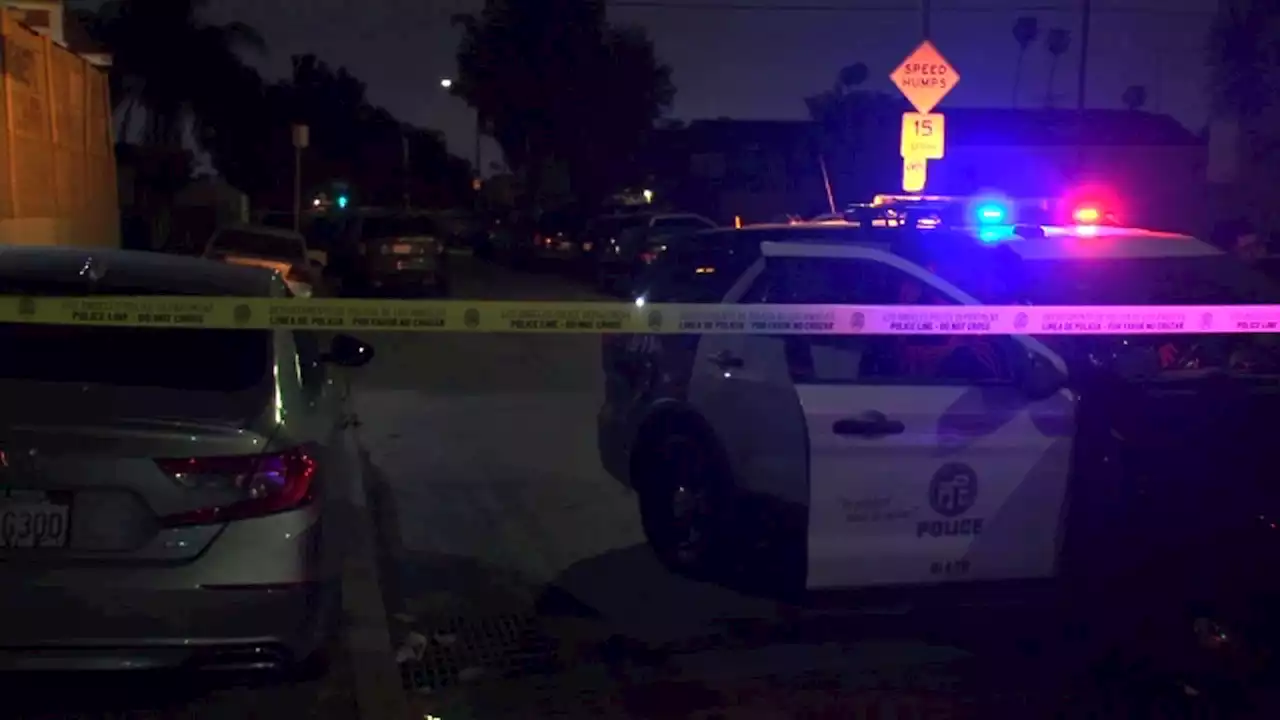 Homicides in Los Angeles reach highest level in 15 years during 1st half of 2022: Report