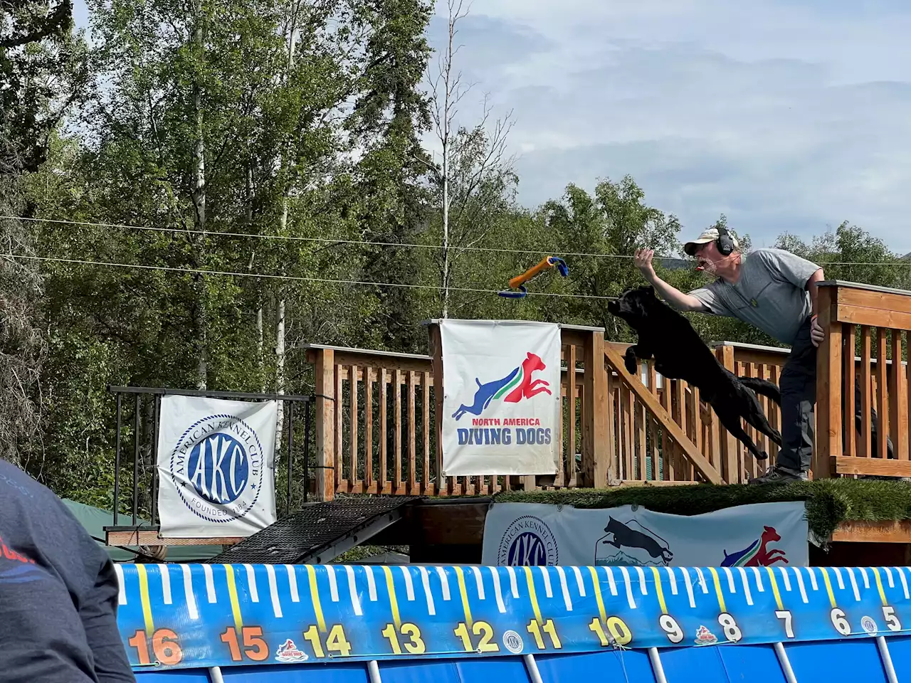 Dozens of diving dogs test just how far they can jump in Palmer - Alaska Public Media