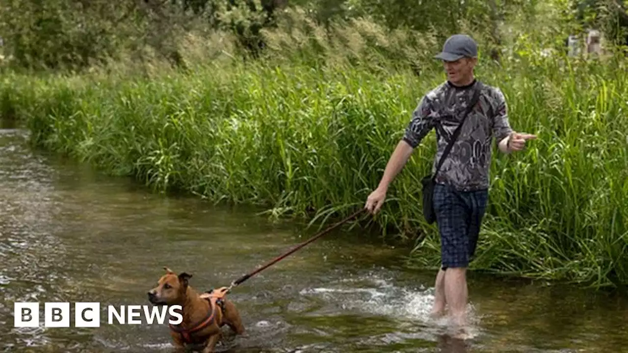 UK heatwave: Temperatures set to peak on Monday