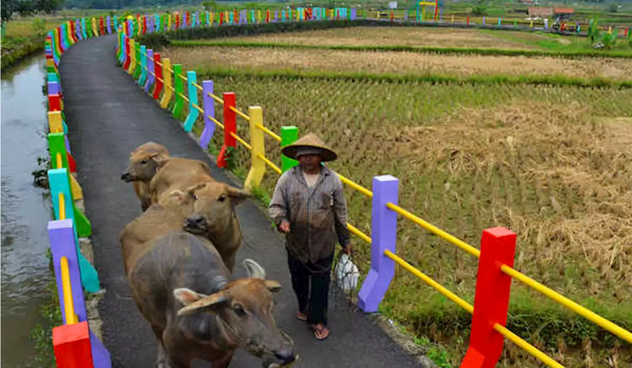 Per 12 Juli, Dana Desa Sudah Tersalur 51,35%