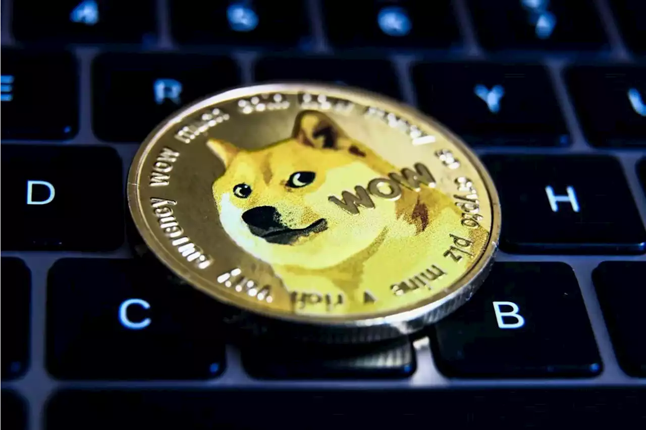 Dogecoin creator said he thought Elon Musk wanted to 'destroy' Twitter months ago | Businessinsider