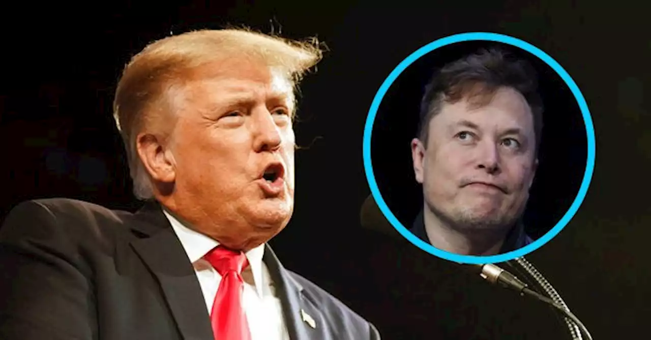 Elon Musk Says Donald Trump Should 'Hang Up His Hat & Sail into the Sunset'