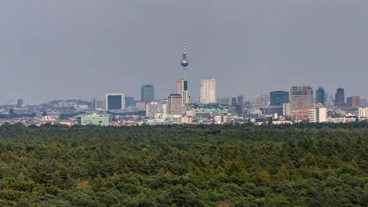 Berlin und Brandenburg fordern schärferes Corona-Gesetz