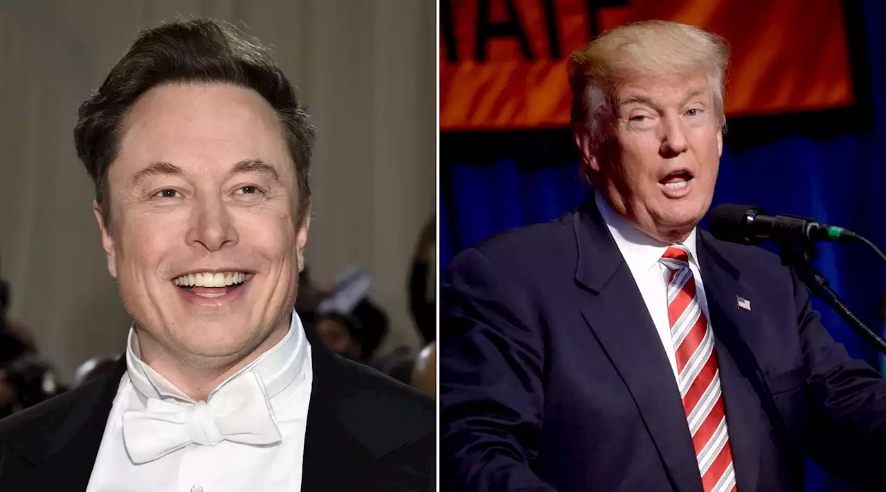 Musk keilt gegen Trump: „Er sollte in den Sonnenuntergang segeln“