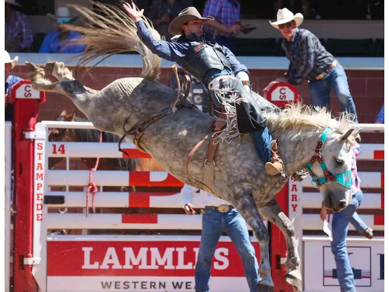 Clint Laye's clutch final ride books him a trip to Sunday's bareback final