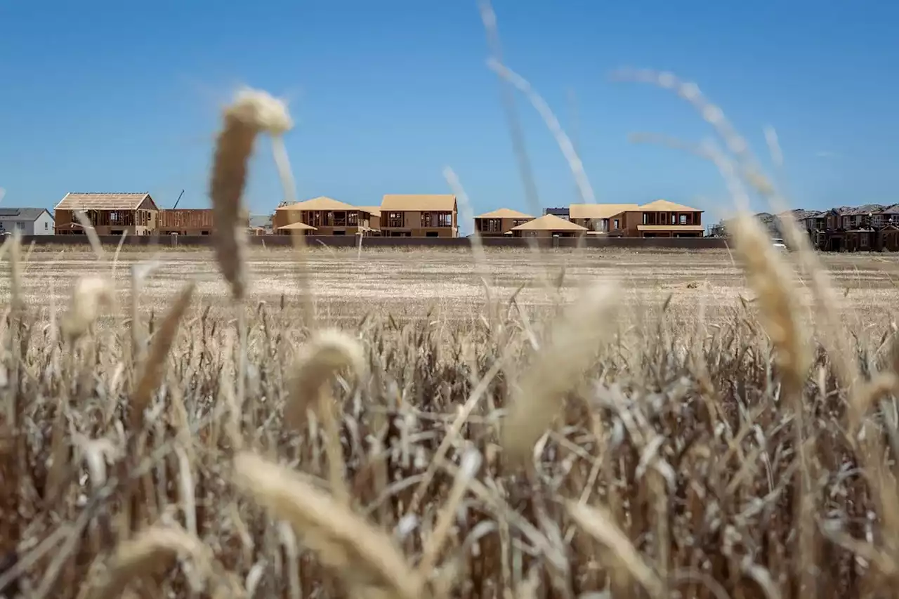 Gimme Shelter: Can California build millions of new homes amid drought?