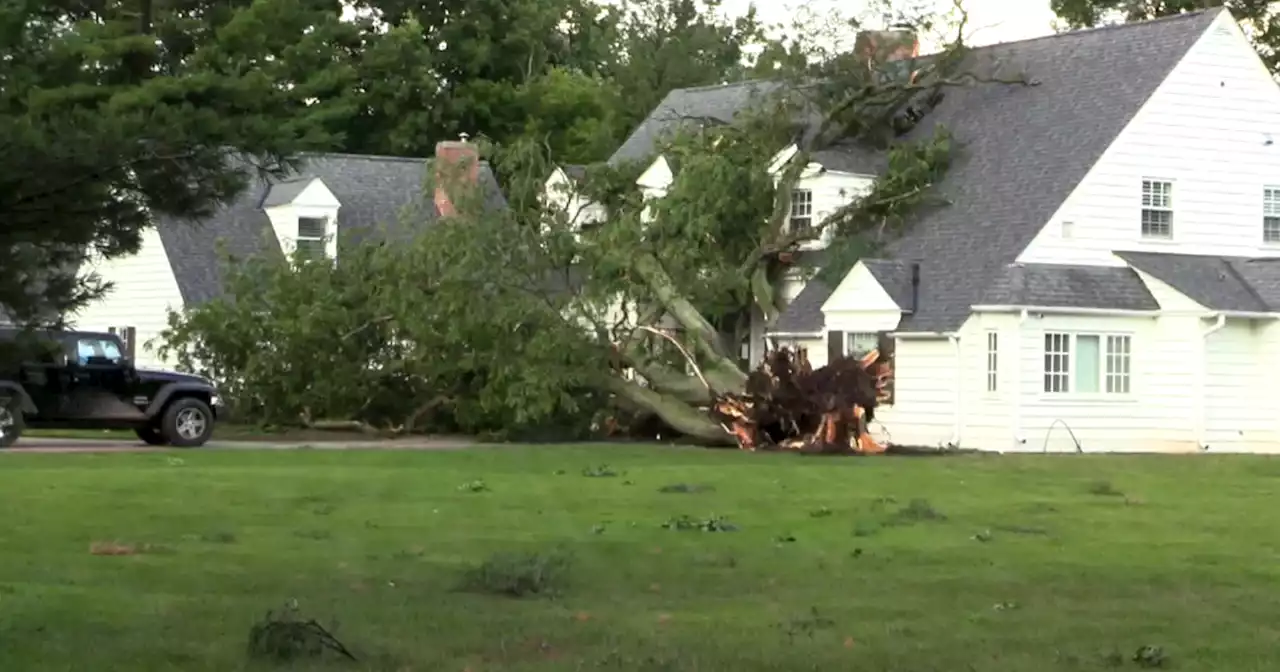 Storms bring down trees in Northfield; funnel clouds reported