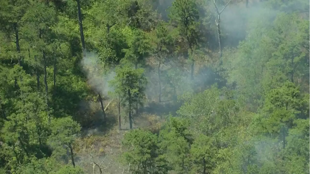 Crews Responding To Wildfire In Wharton State Forest At Maple Branch Road In Tylertown And Batsto Village Area