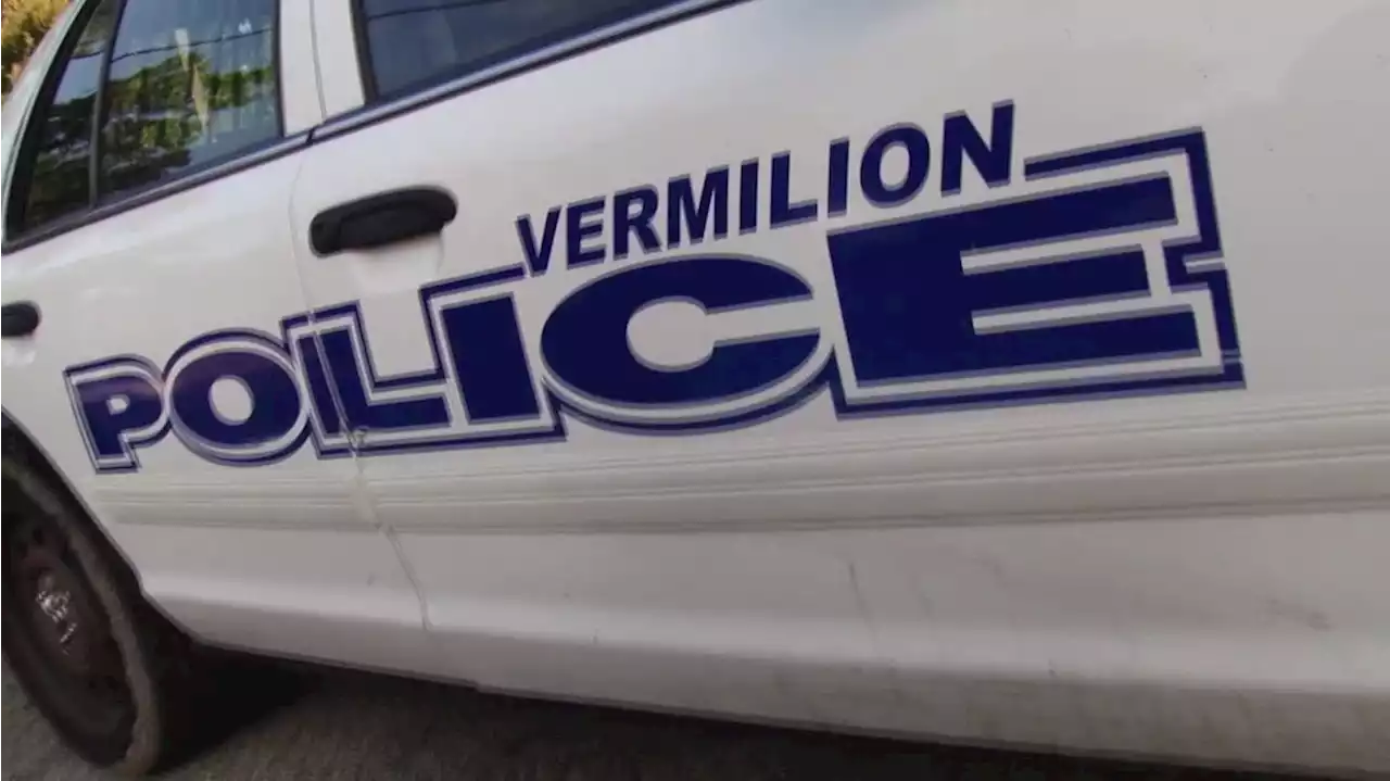 Vermilion officer charged with domestic violence, placed on administrative leave