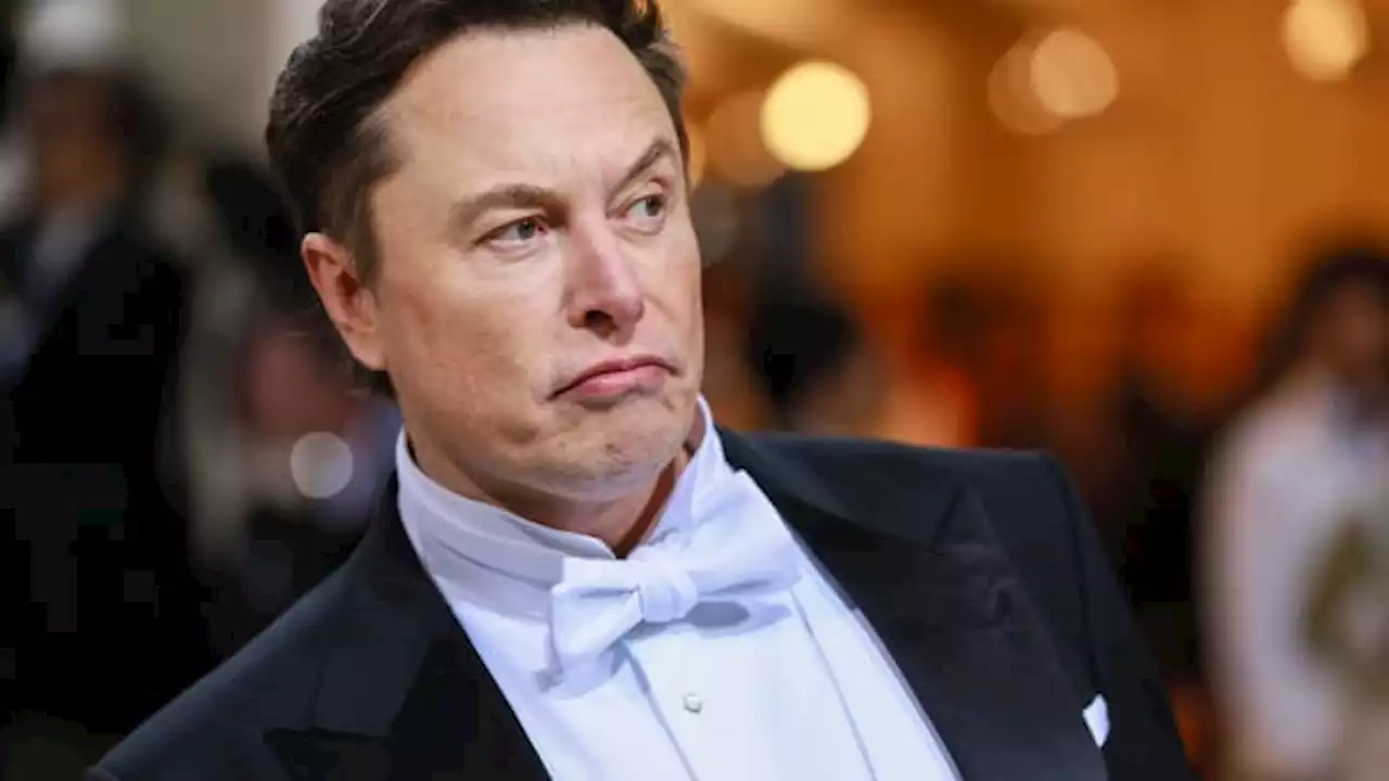 Elon Musk says it's time for Trump to 'sail into the sunset'