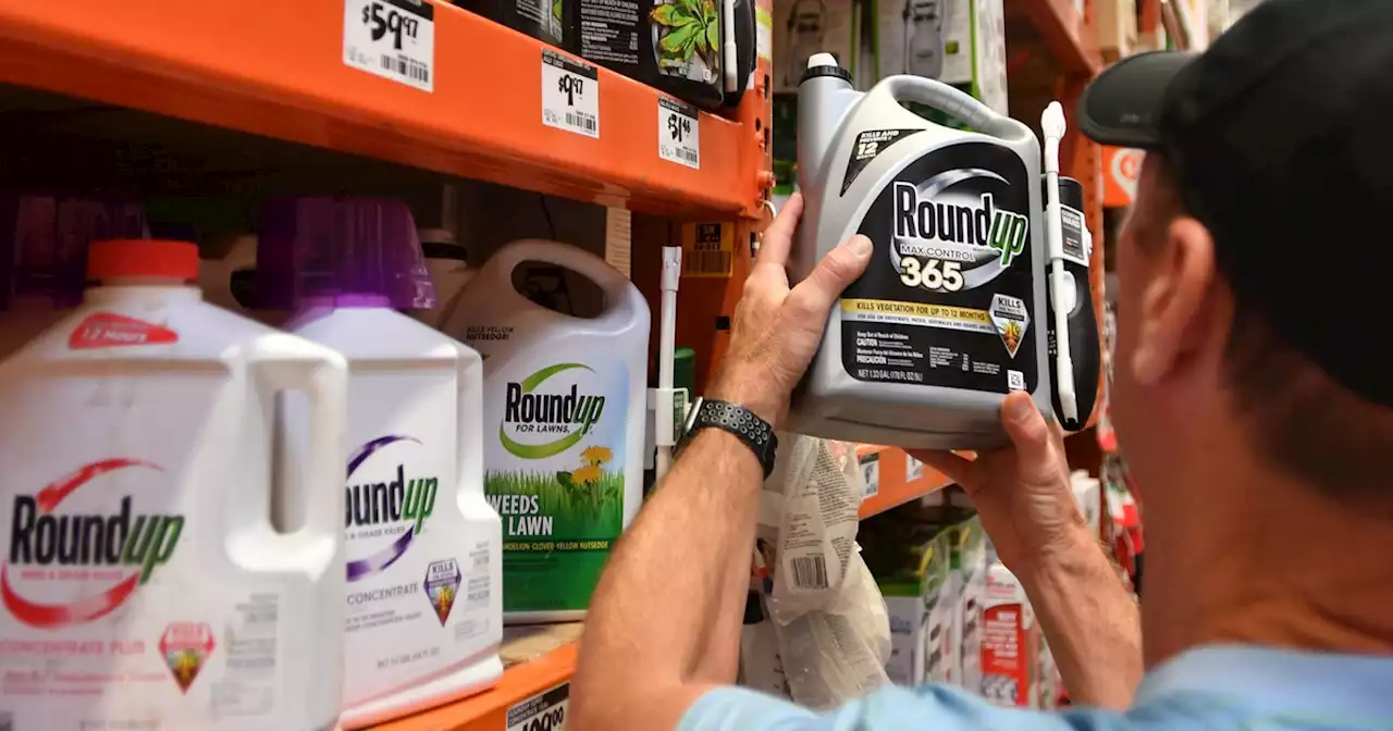 Renewed Calls to Ban Glyphosate After Toxic Herbicide Found in 80% of US Urine Samples