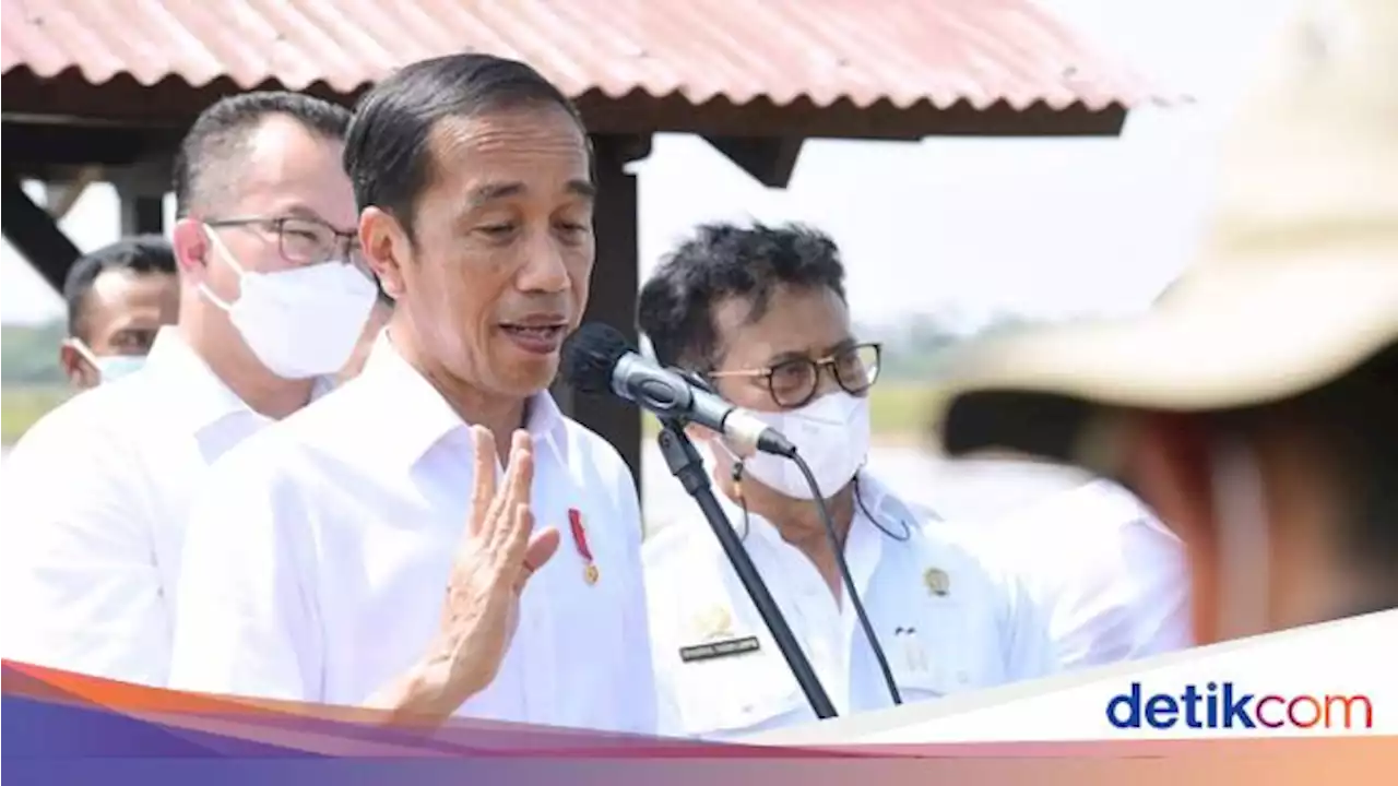 Jokowi Yakin Swasembada Beras Segera Terwujud