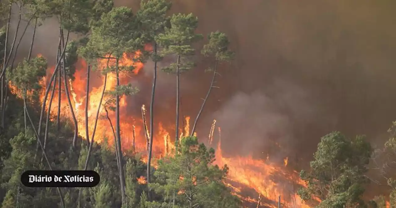 Incêndios: Mais de 20 mil hectares queimados este ano num aumento de 68% face a 2021