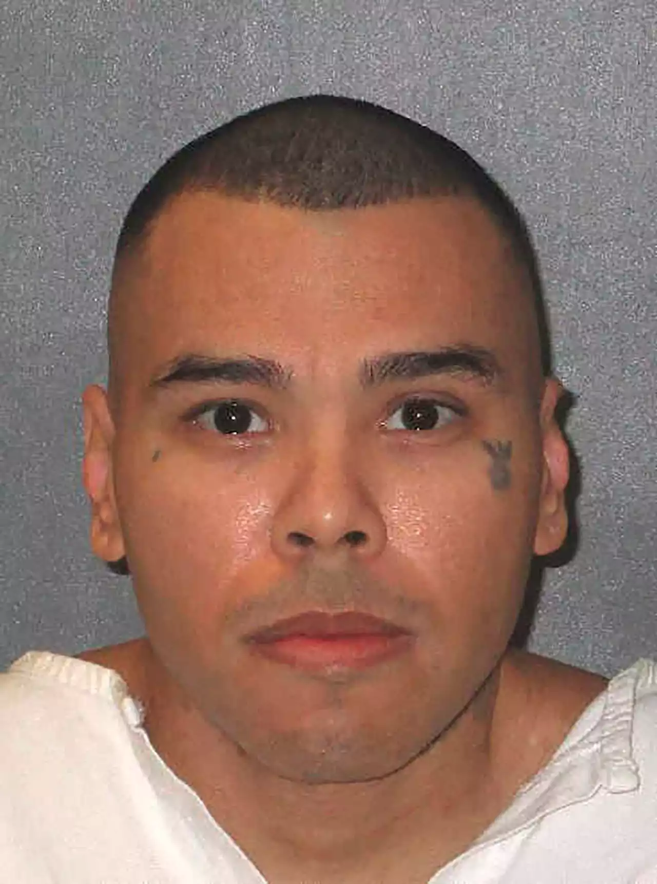 Texas death row inmate requests delay in execution to ‘atone for his crimes’ by donating a kidney