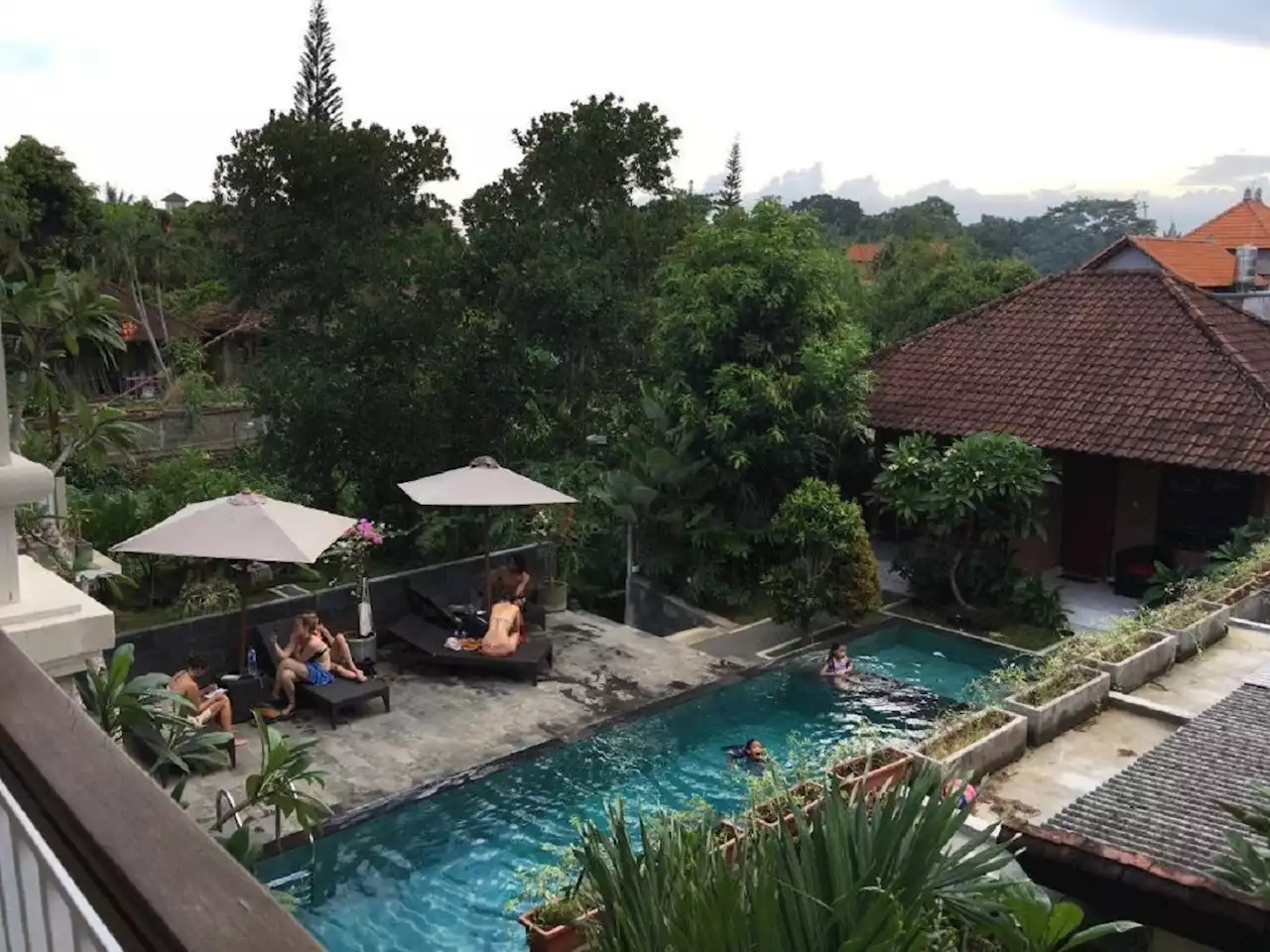 5 Rekomendasi Hotel Murah di Ubud Gianyar Awal Pekan Ini, Wow