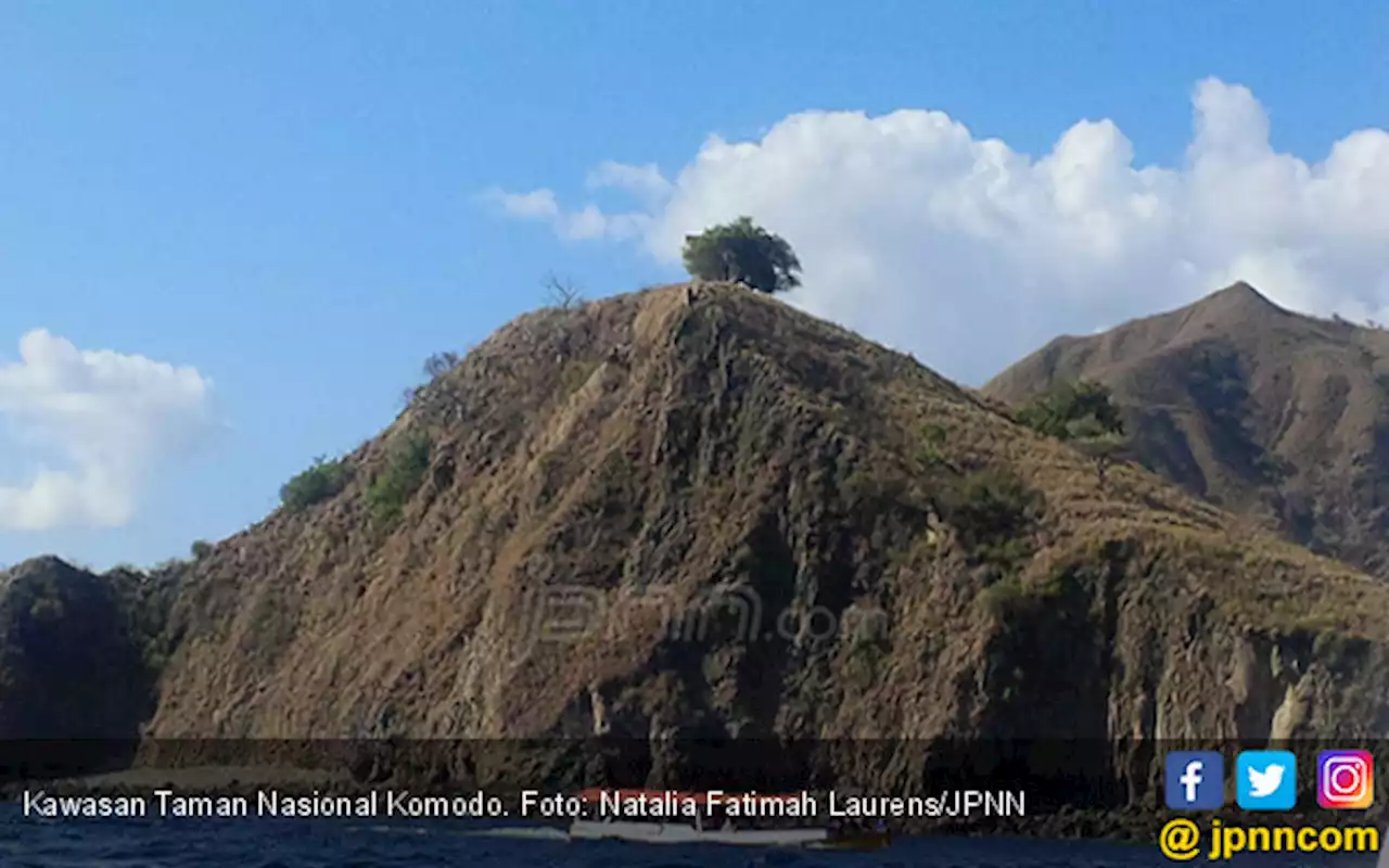 Tiket Masuk TN Pulau Komodo Bernilai Rp 3,75 Juta, Begini Perinciannya