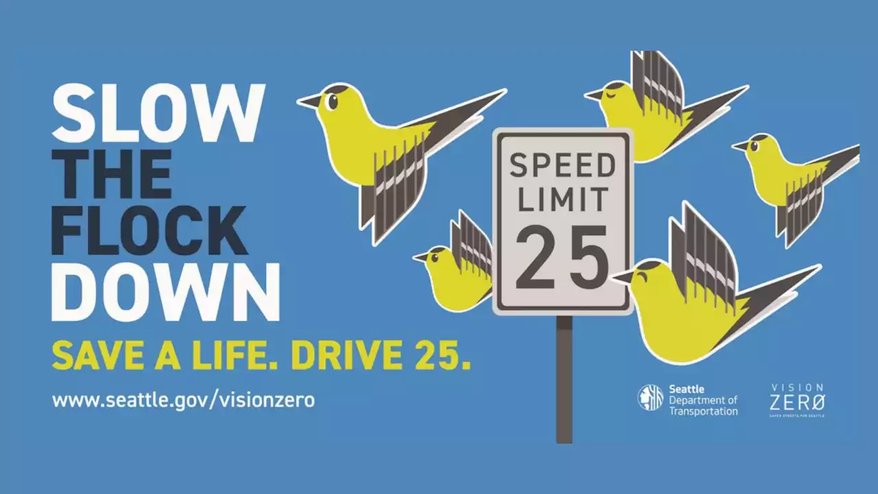 SDOT launches new campaign encouraging drivers to ‘Slow the Flock Down’