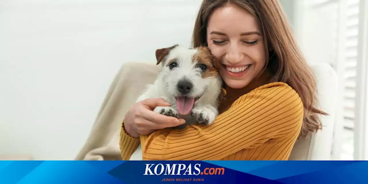 Ragam Cara dan Tanda Anjing Peliharaan Memilih Manusia Favoritnya