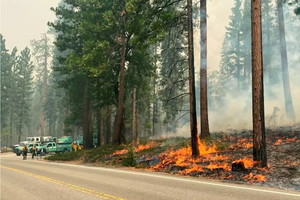 California firefighters gain against Yosemite wildfire