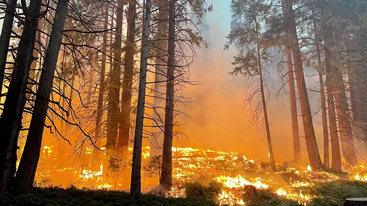 Washburn Fire containment drops at Yosemite