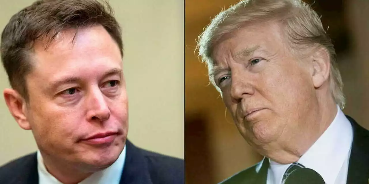 Twitter, présidentielle : passe d'armes entre Elon Musk et Donald Trump