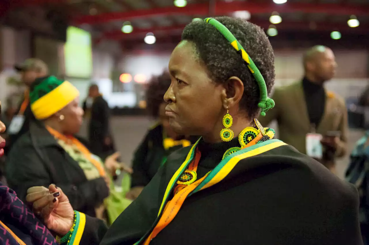 ANC women’s league unlikely to elect new leaders before party holds December national conference