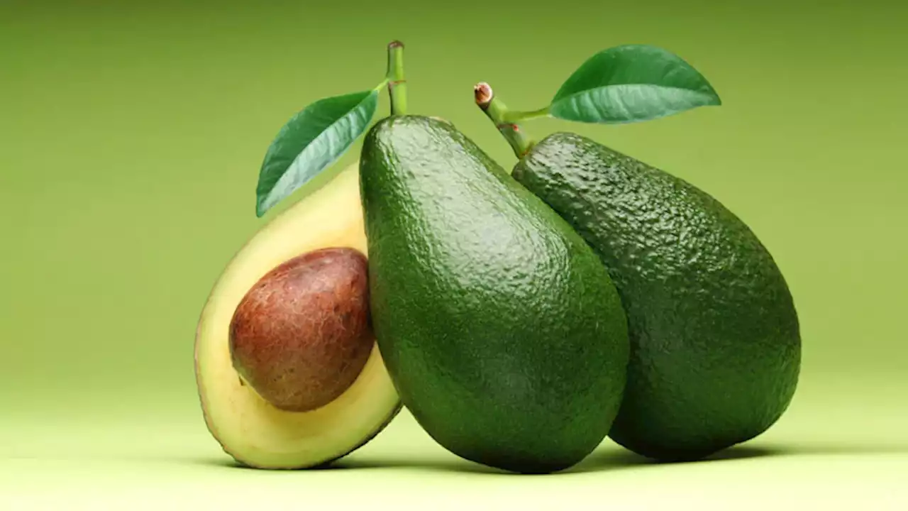 An Avocado a Day Doesn’t Shrink Belly Fat, but Helps Cholesterol