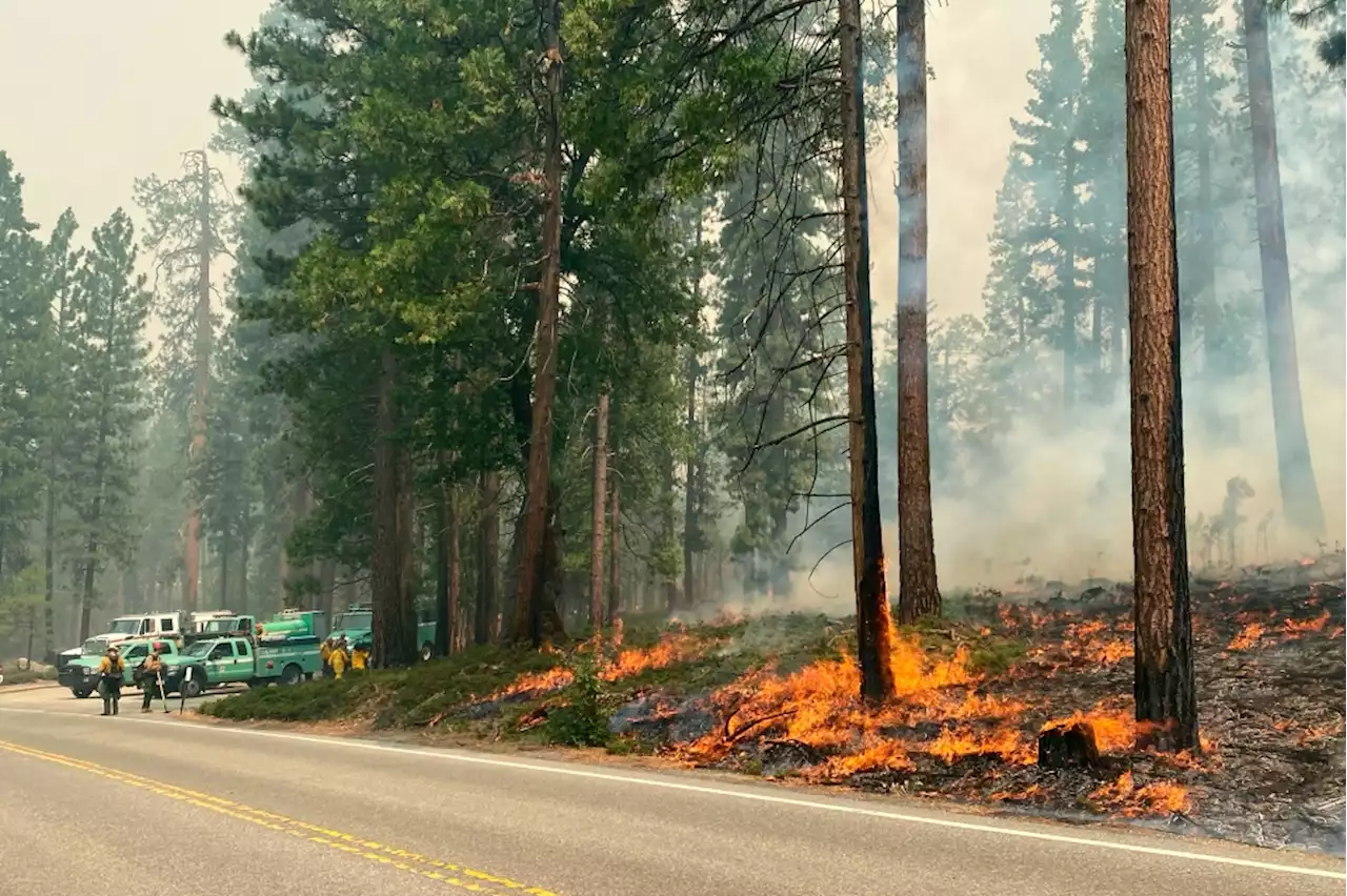 Yosemite blaze was a ‘human-start fire,’ park superintendent says