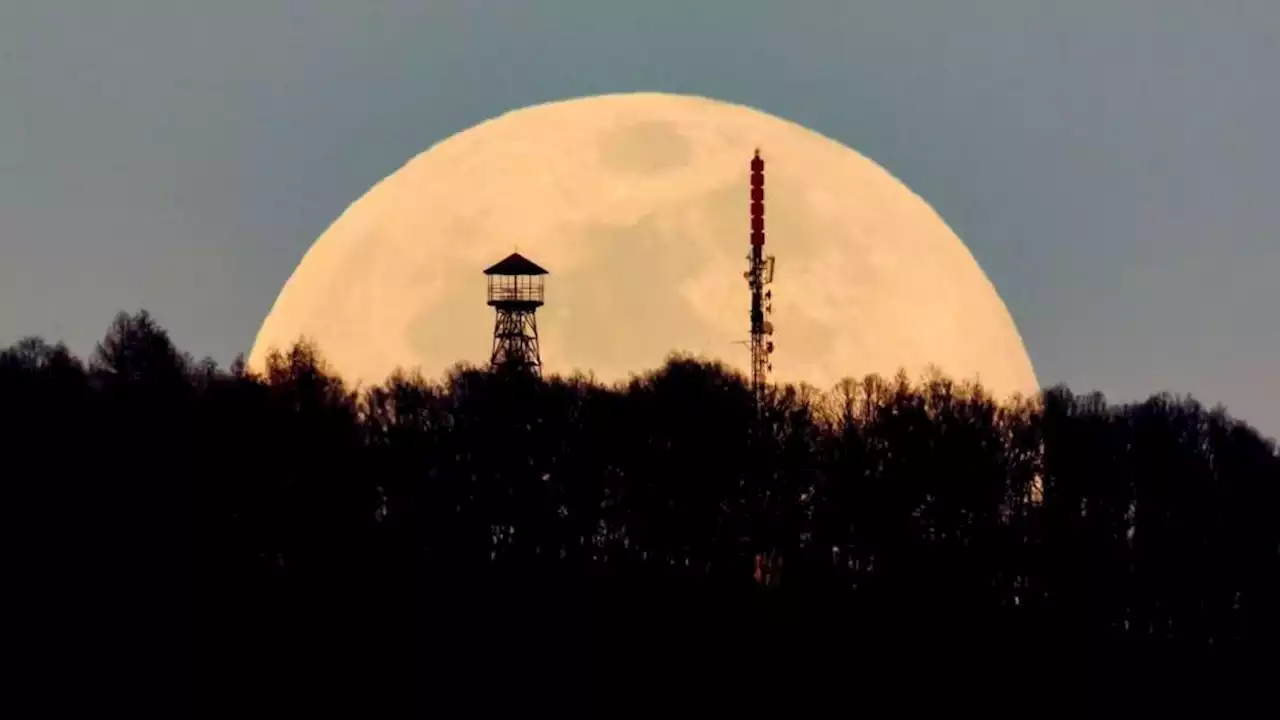 Superluna de Ciervo: dónde y cuándo se podrá ver uno de los fenómenos más esperados