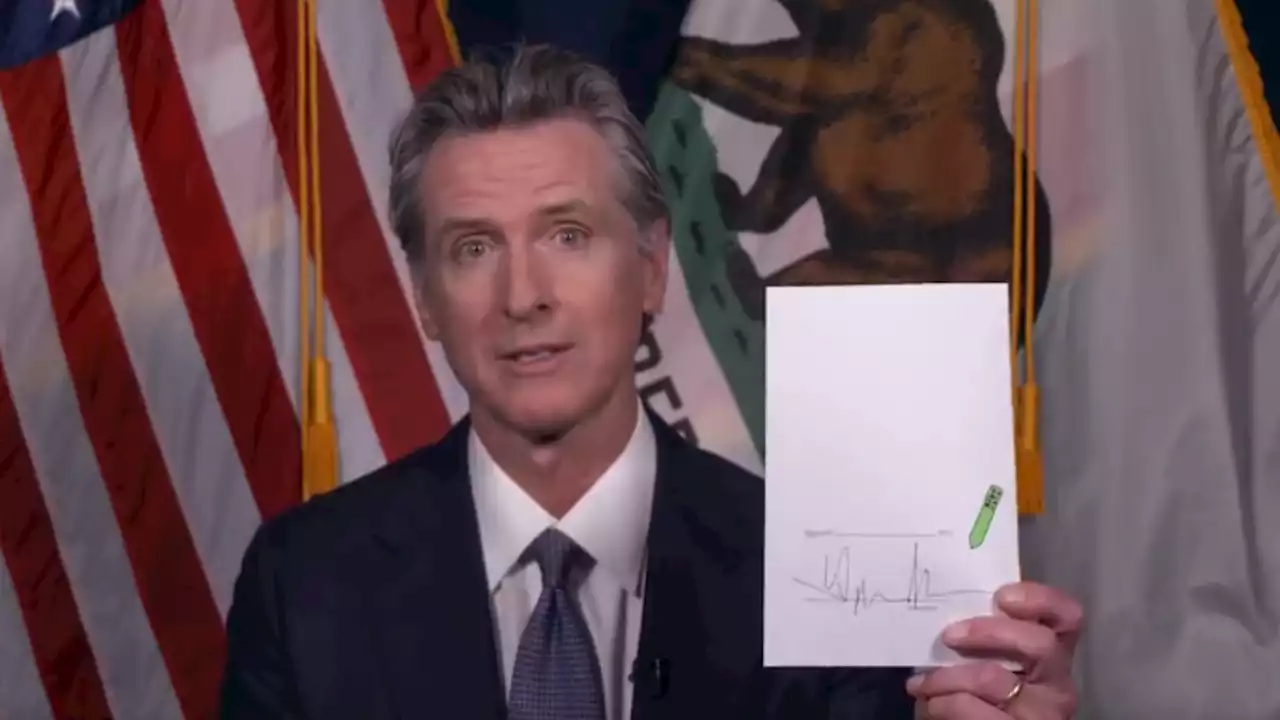 Gov. Newsom Signs Bill Allowing Victims of Gun Violence to Sue Gun Manufacturers