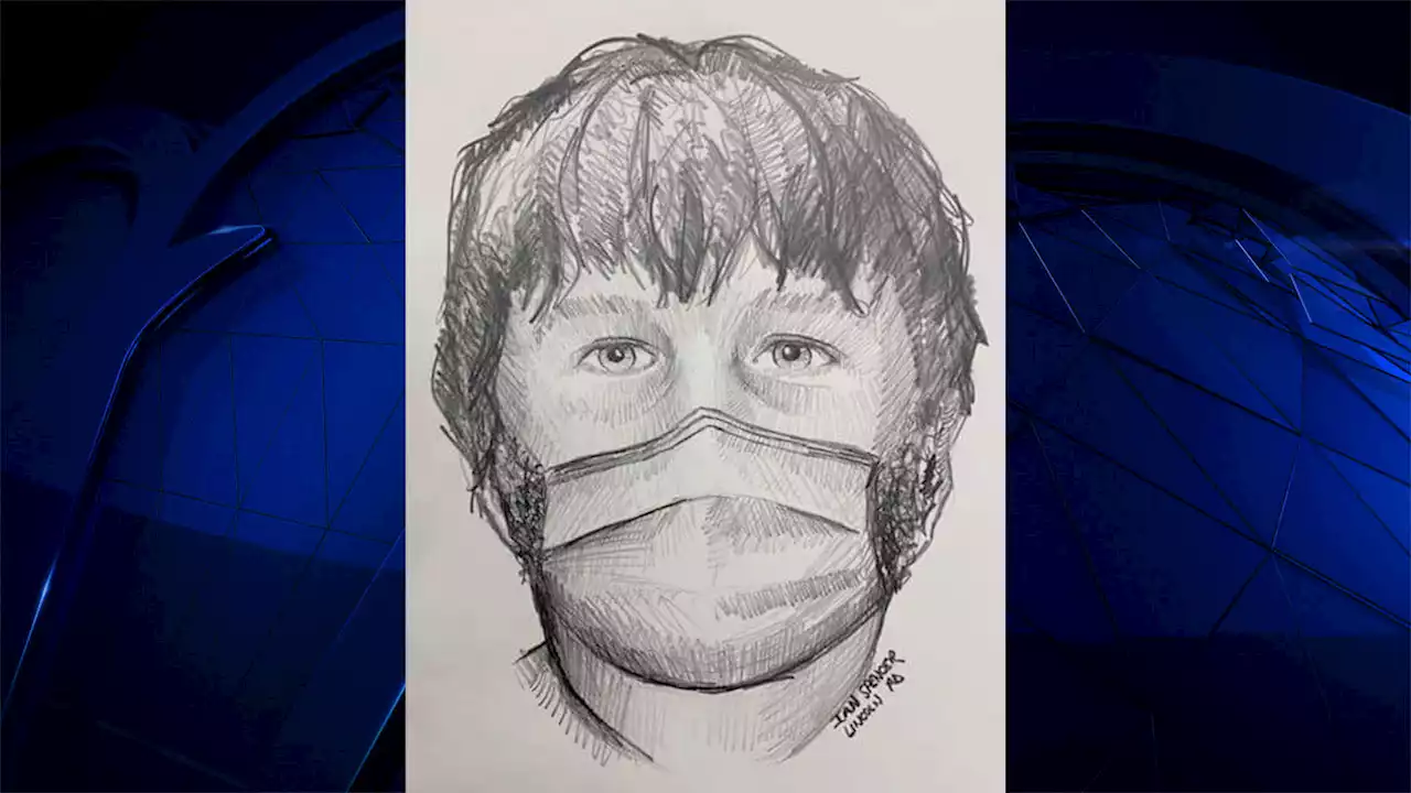 After Robbery at Gunpoint on Wilmington Trail, Police Release Sketch of Suspect