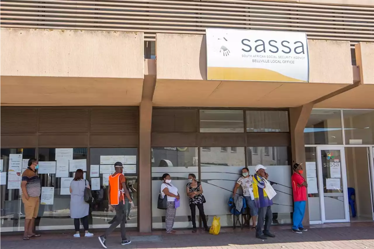 Government fat cat earning R1m annually got R350 social relief grant - and Sassa is yet to report it | News24